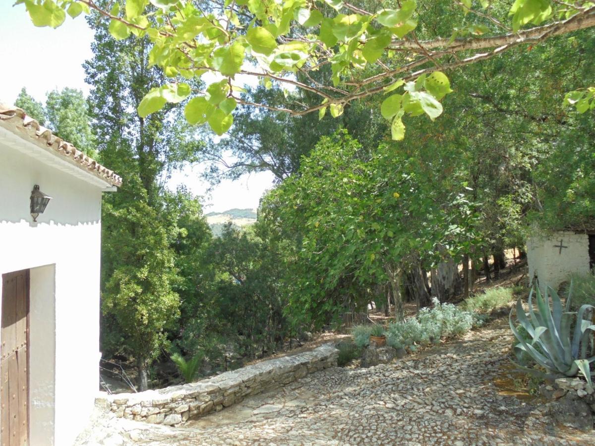 El Pastor Βίλα Grazalema Εξωτερικό φωτογραφία